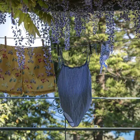 Casa Araucaria *
