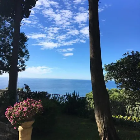 Apartman Casa Araucaria